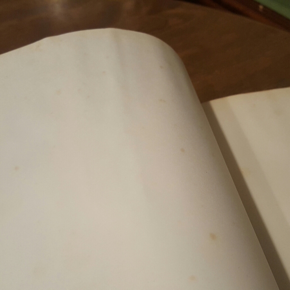 1975 FIRST PRINTING THE WORLD OF NATURE BIG CATS O - Picture 7 of 12